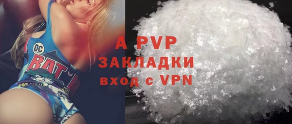 PSILOCYBIN Балабаново