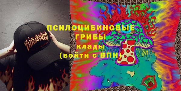 гидра Балахна