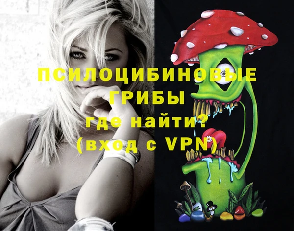 PSILOCYBIN Баксан