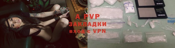 PSILOCYBIN Балабаново