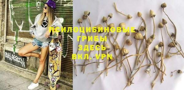 PSILOCYBIN Балабаново