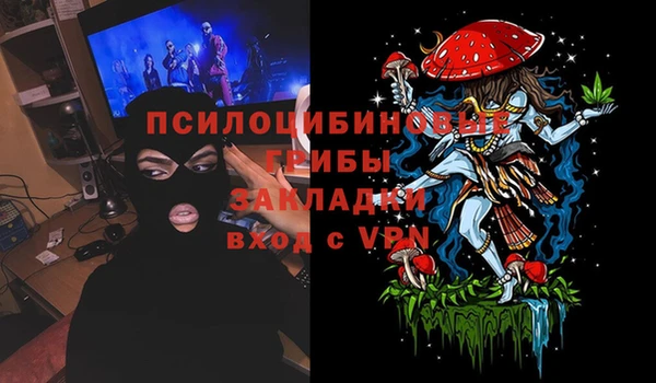PSILOCYBIN Балабаново