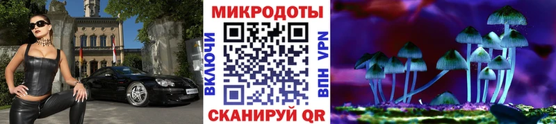 Псилоцибиновые грибы прущие грибы  Черняховск 