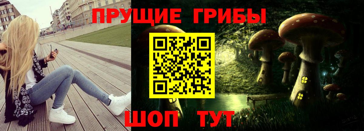 Галлюциногенные грибы GOLDEN TEACHER Черняховск