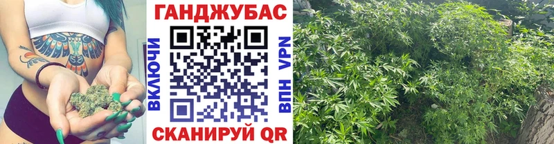 Шишки марихуана гибрид  хочу наркоту  Черняховск 